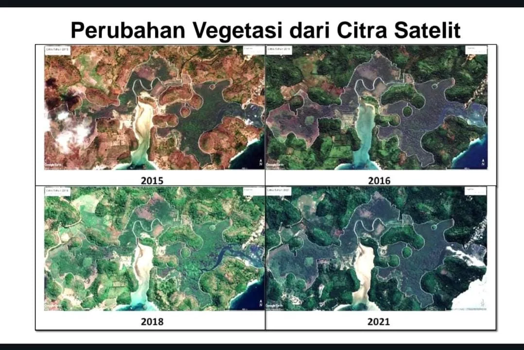Perubahan vegetasi di kawasan CMC Tiga Warna. Foto: dok. CMC Tiga Warna
