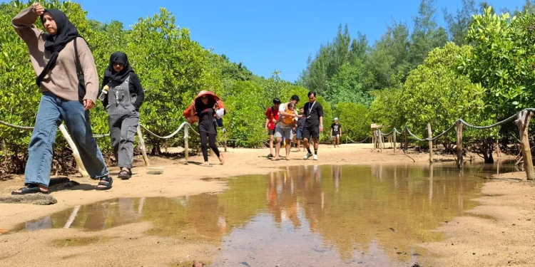 Wisatawan melintasi hutan mangrove di CMC Tiga Warna. Foto: Aisyah Nawangsari Putri