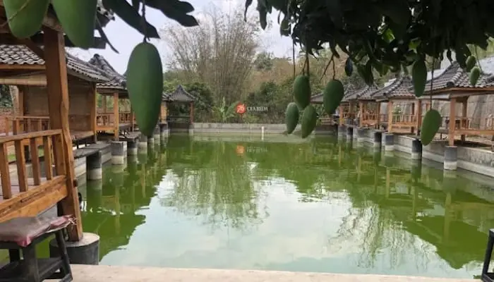 Mabuk Mancing Malang./Foto: Google Review.
