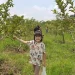 Rekomendasi wisata petik buah di Kota Batu yang cocok dijadikan destinasi wisata libur sekolah. /Foto: Google Review Kusuma Agrowisata/Louis Wijaya