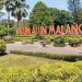 Rekomendasi wisata murah meriah di Kota Malang yang cocok untuk dijadikan destinasi wisata penutup libur sekolah. /Foto: Google Review Alun-Alun Malang/Mila Saruci