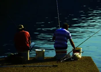 Rekomendasi spot mancing di Kota Malang yang wajib dicoba mancing mania. /Foto: Unsplash.com/Boris Misevic