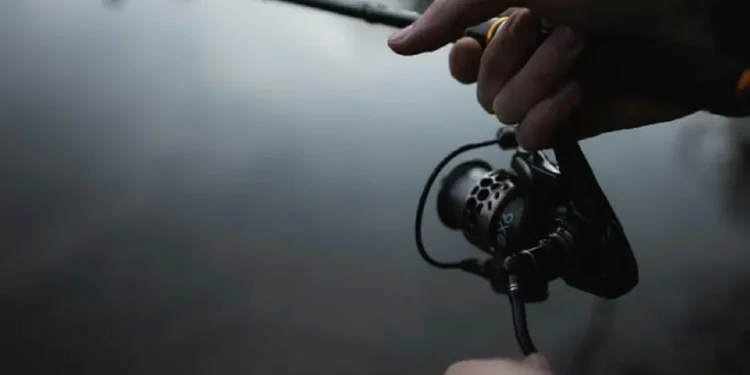 ekomendasi spot mancing Malang dekat Sawojajar sebagai referensi bagi para pecinta pancing./Foto: Unsplash.com/Victor G