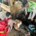 Petugas memeriksa jenazah gelandangan yang tewas di Pasar Dampit. Foto: Polsek Dampit