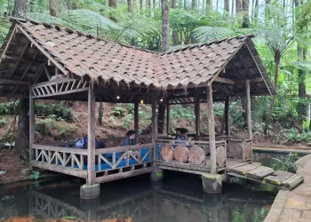 Gazebo pengunjung di kafe Alas Pakis. Foto: Aisyah Nawangsari Putri