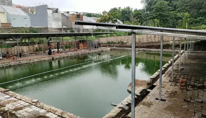 Kolam Pemancingan Ayo Mancing./Foto: Google Review/Zadim Effisiensi