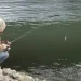 Rekomendasi spot mancing di Malang