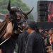 Ngarak Banteng Empu Supo di Kota Batu