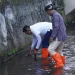 Wali Kota Batu