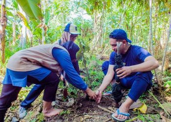 KKN Kelas Karyawan Unikama wujudkan KKN Berdampak dengan melaksanakan kegiatan penghijauan di Desa Ngadirejo, Kabupaten Malang. /Foto: Dok. Unikama