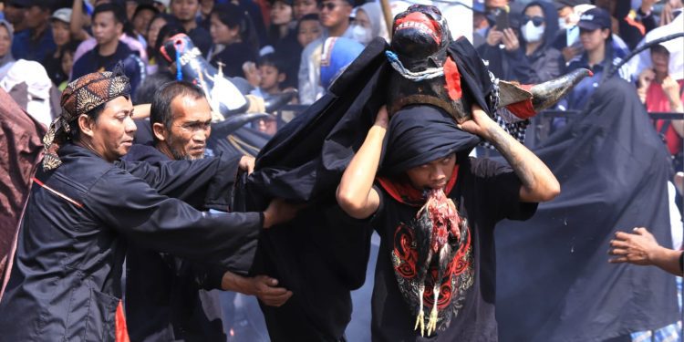 Kemeriahan parade Bantengan Nuswantoro ke-17 di Kota Batu. Foto: Prokopim KWB