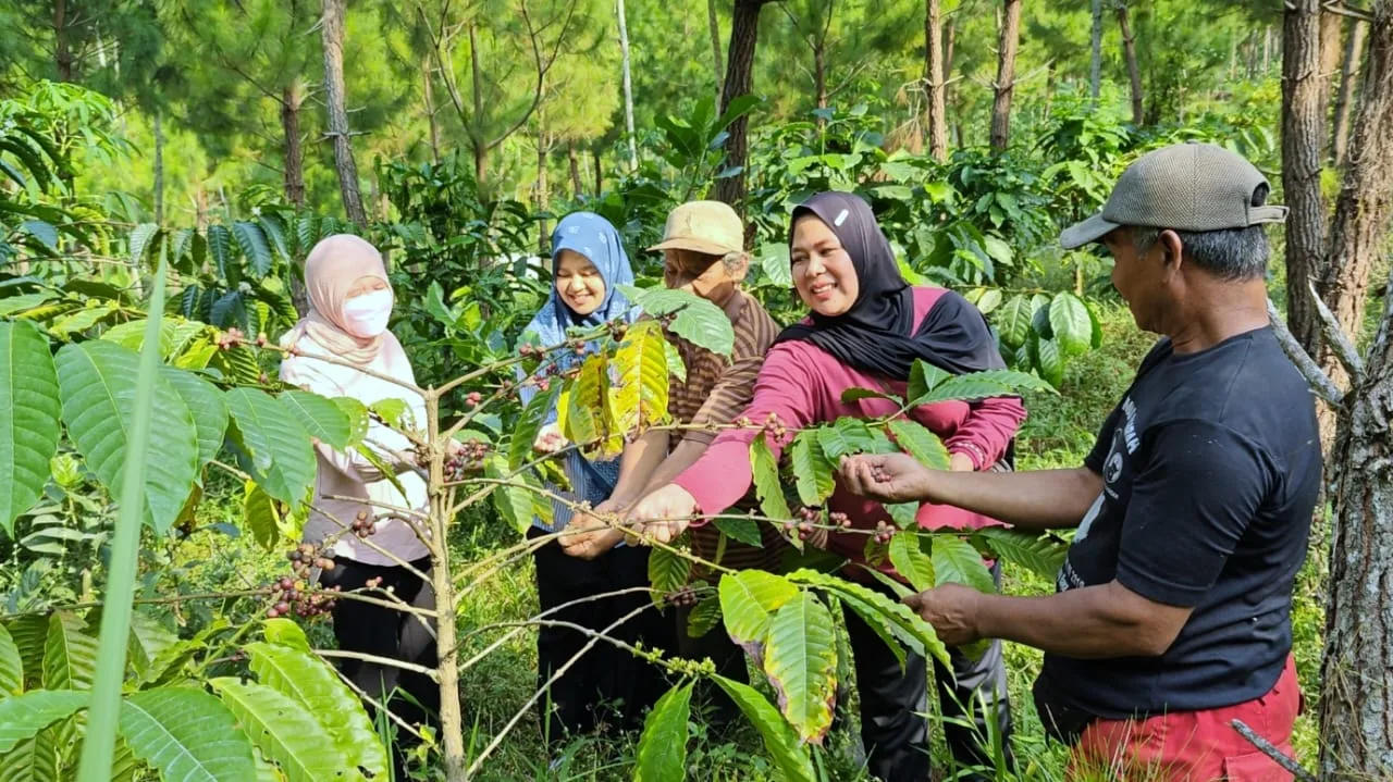 Tim Dosen FH Unikama meninjau langsung kebun Kopi Katu di Desa Wadung, Kecamatan Pakisaji, Kabupaten Malang./Foto: Dok. Tim Dosen FH Unikama