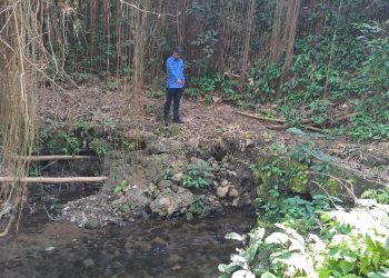 Mata air Sumber Diyeng II di Gondanglegi yang akan dipasangi SPAM untuk aliri 23 ribu pelanggan Perumda Tirta Kanjuruhan. Foto: Aisyah Nawangsari Putri