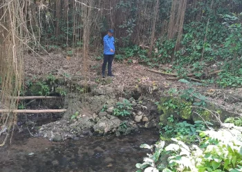 Mata air Sumber Diyeng II di Gondanglegi yang akan dipasangi SPAM untuk aliri 23 ribu pelanggan Perumda Tirta Kanjuruhan. Foto: Aisyah Nawangsari Putri