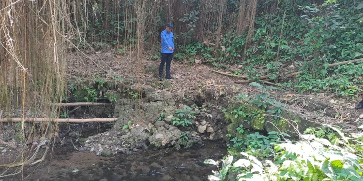 Mata air Sumber Diyeng II di Gondanglegi yang akan dipasangi SPAM untuk aliri 23 ribu pelanggan Perumda Tirta Kanjuruhan. Foto: Aisyah Nawangsari Putri