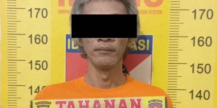 Tersangka AM usai diamankan polisi setelah terciduk tanam ganja. Foto: Polres Malang