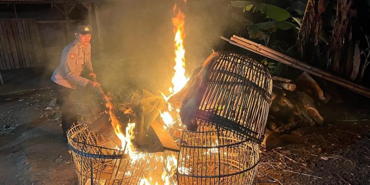 Polisi musnahkan peralatan yang diduga digunakan untuk judi sabung ayam. Foto: Polres Malang