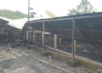 Kondisi kandang usai api berhasil dipadamkan. Foto: Damkar Kabupaten Malang