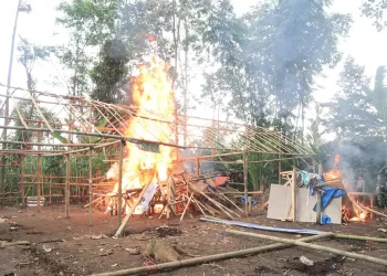 Judi Sabung ayam lokasinya dibakar