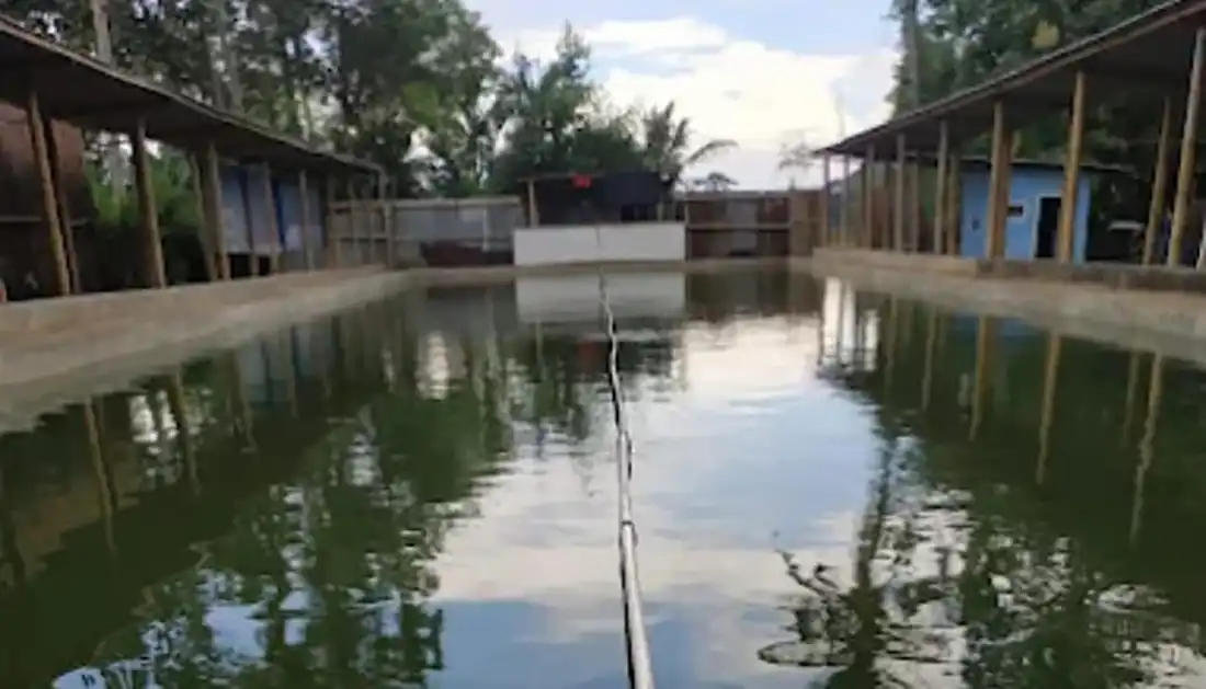 Kolam Pemancingan Sumber Makmur