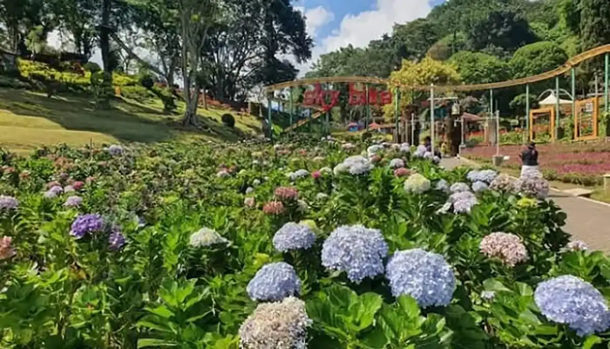 Taman Rekreasi Selecta
