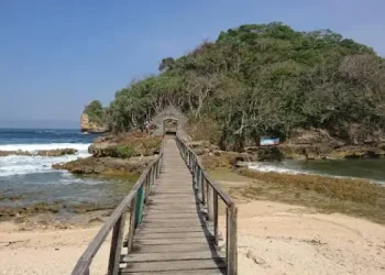 Rekomendasi wisata pantai Malang yang eksotis di Donomulyo dan wajib dikunjungi agar liburan lebih berkesan. /Foto: Google Review Pantai Ngliyep/Putrakid.