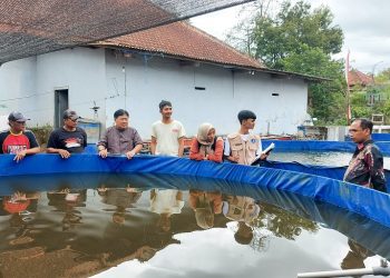 Tim PM-BEM Unikama yang diketuai oleh Dr. Andi Nu Graha, S.E, M.Si sedang meninjau lokasi budidaya ikan air tawar di Desa Talangagung Kecamatan Kepanjen Kabupaten Malang sebelum menerapkan teknologi Smart Farming. Foto/Rubianto