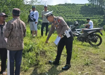 Petugas Satlantas Polres Batu saat olah TKP di lokasi kejadian tewasnya bapak dan anak di Pujon. Foto: Dok.