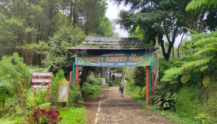 Precet Forest Park Wagir Malang./Foto: Google Review/Somy Andrianto.