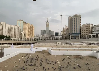 Burung merpati menghiasi Kota Makkah dengan latar belakang zam zam tower. Foto: irham thoriq