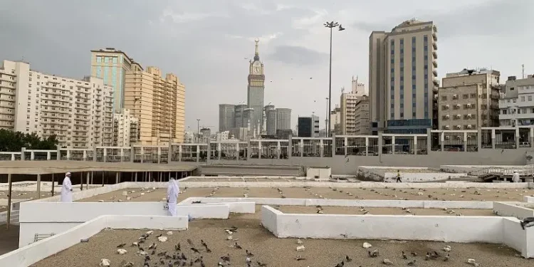 Burung merpati menghiasi Kota Makkah dengan latar belakang zam zam tower. Foto: irham thoriq