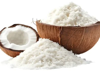 Ampas kelapa