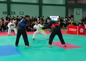 Kompetisi Pencak Silat Piala Panglima TNI 2025. Foto/dok