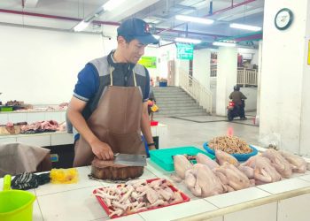 Ilustrasi penjual daging ayam di Pasar Induk Among Tani Kota Batu. Foto: Azmy