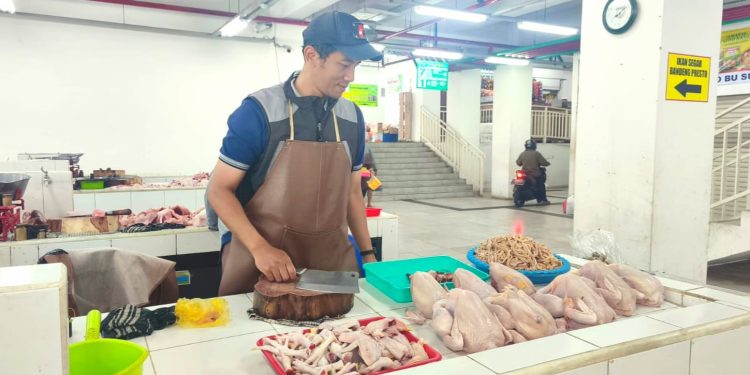 Ilustrasi penjual daging ayam di Pasar Induk Among Tani Kota Batu. Foto: Azmy
