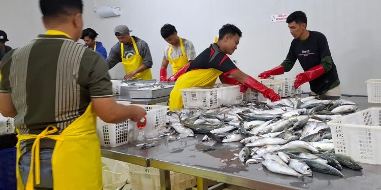 Konsumsi ikan di Kabupaten Malang