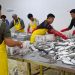 Konsumsi ikan di Kabupaten Malang