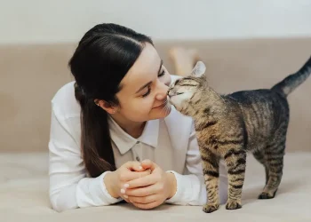 Kucing dan manusia
