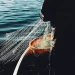 Ilustrasi kapal nelayan. Foto: Unsplash.com/Fredrik Ohlander