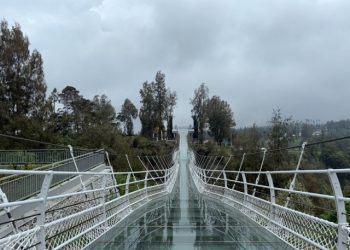 Penampakan jembatan kaca seruni point di kawasan Bromo. Foto: Dok. TNBTS