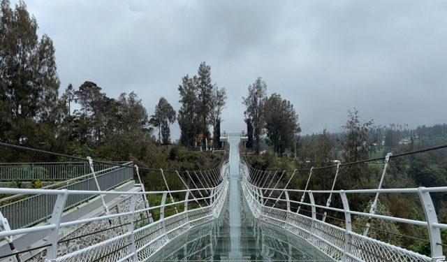 Penampakan jembatan kaca seruni point di kawasan Bromo. Foto: Dok. TNBTS