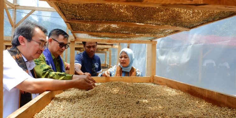 Desa Sejahtera Astra impor kopi ke Thailand. Foto: dok. Astra