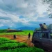 Bukit Jengkoang di Kota Batu adalah destinasi wisata alam yang menawarkan pemandangan perbukitan, kebun buah, dan hutan pinus yang menawan. /Foto: Google Review Bukit Jengkoang/Alasroban.