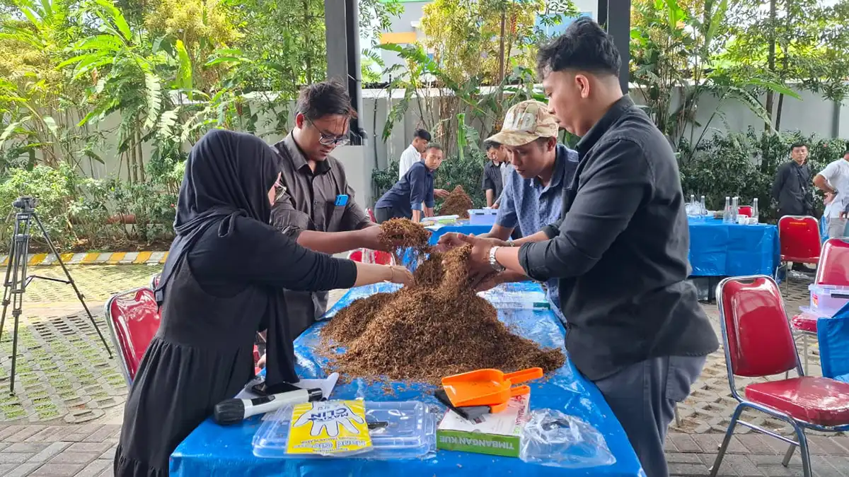 MEncampur tembakau
