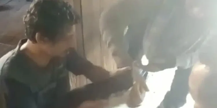video syur