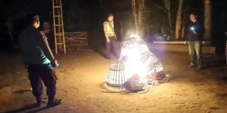 Judi Sabung Ayam