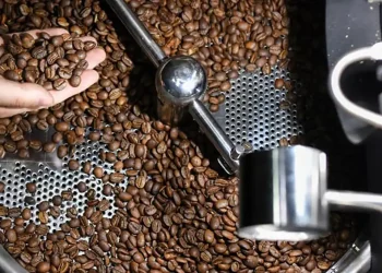 Rekomendasi tempat beli kopi roasting