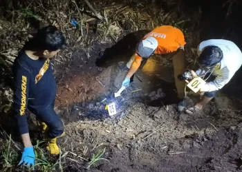 Korban Pembunuhan