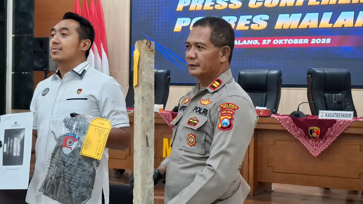 Balok kayu
