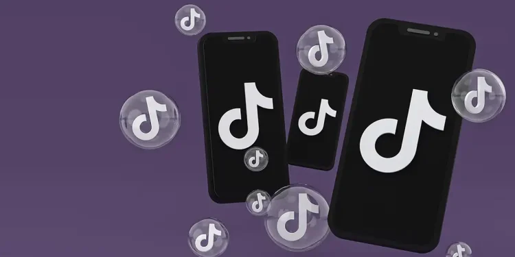 Larangan Tiktok di Indonesia